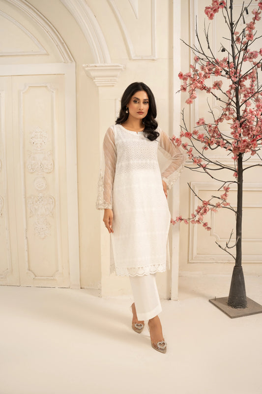 Abeer 2PC ChikanKari Suit | Net Embroidered Sleeves